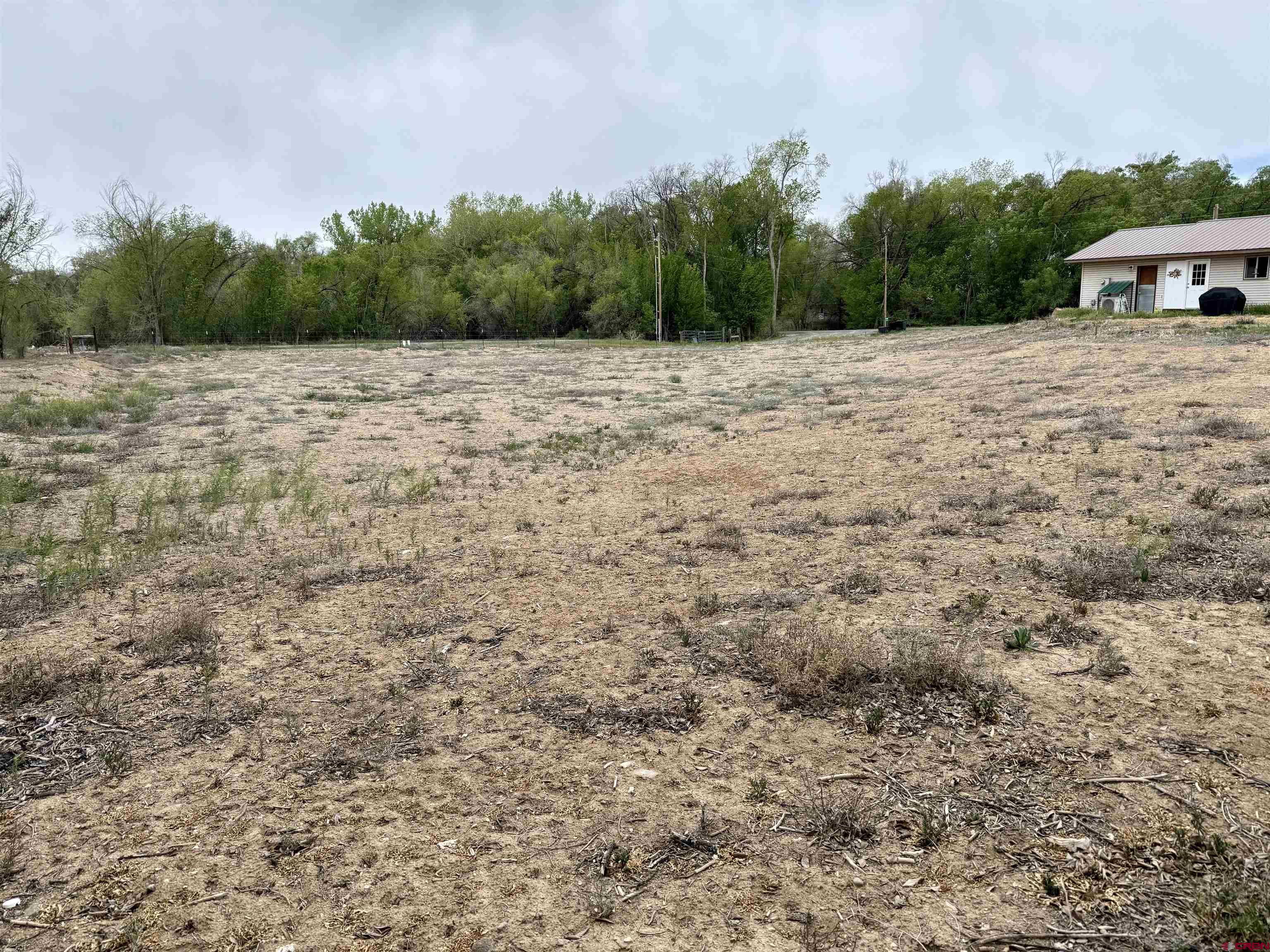 10322 2150th Road Austin, CO 81410 - Photo 11 of 19