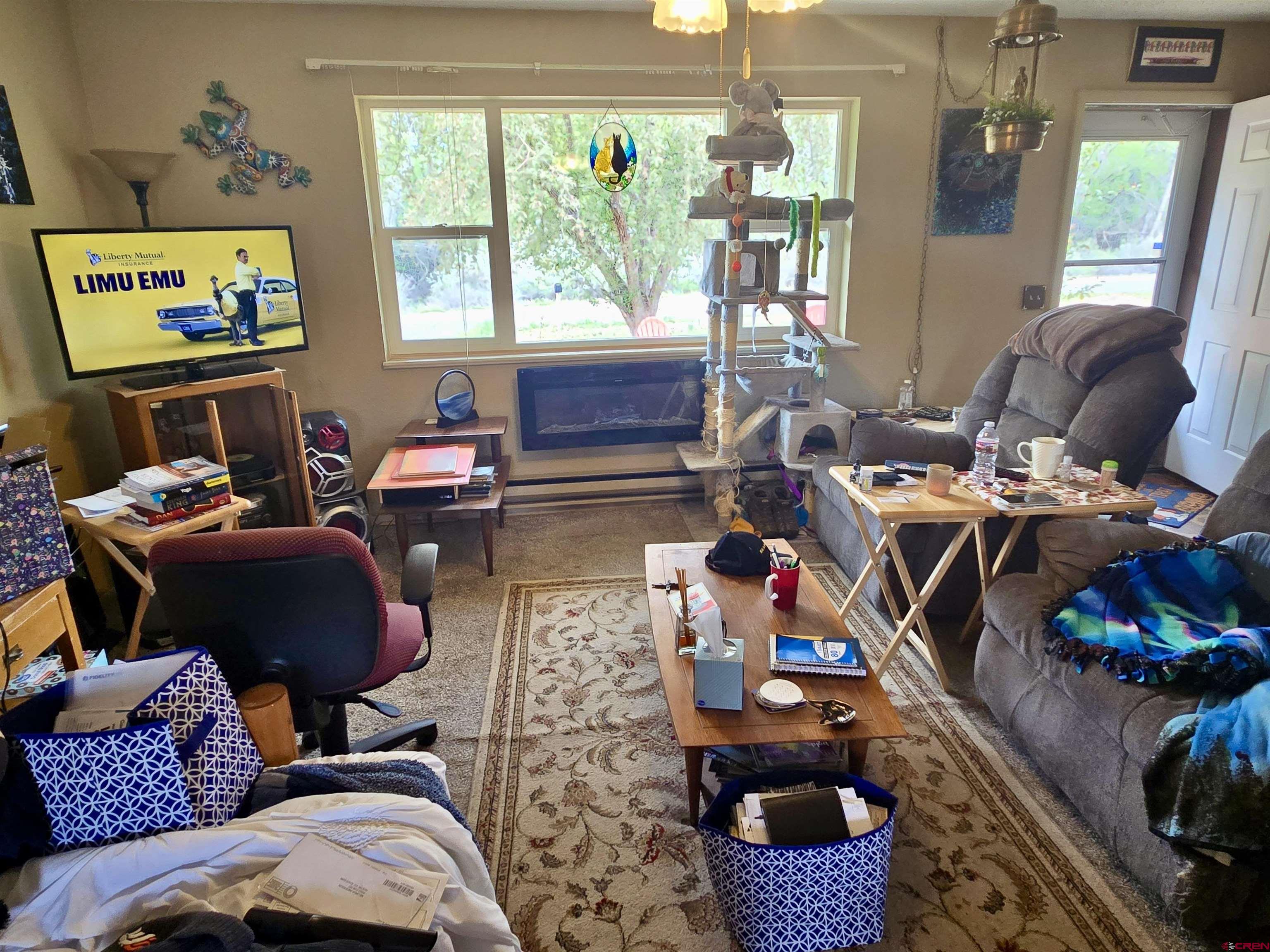 10322 2150th Road Austin, CO 81410 - Photo 15 of 19