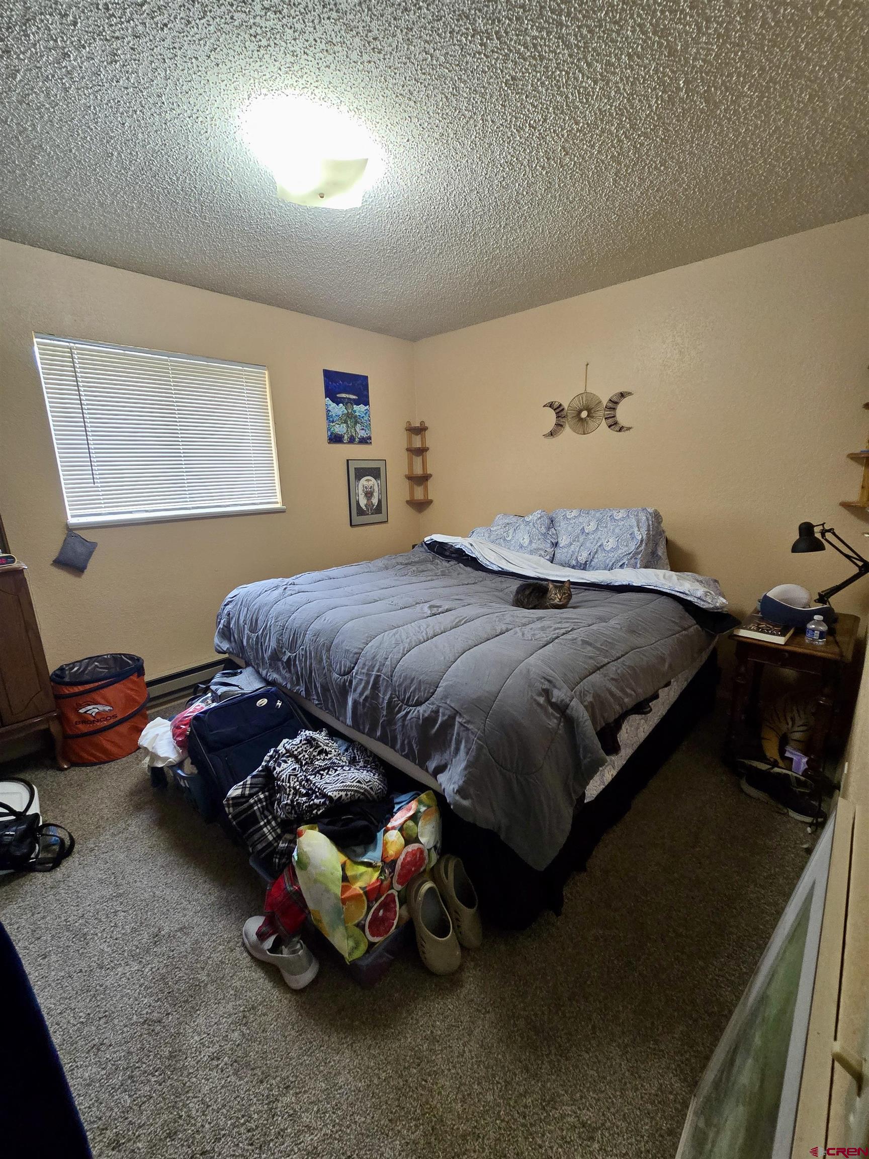 10322 2150th Road Austin, CO 81410 - Photo 16 of 19