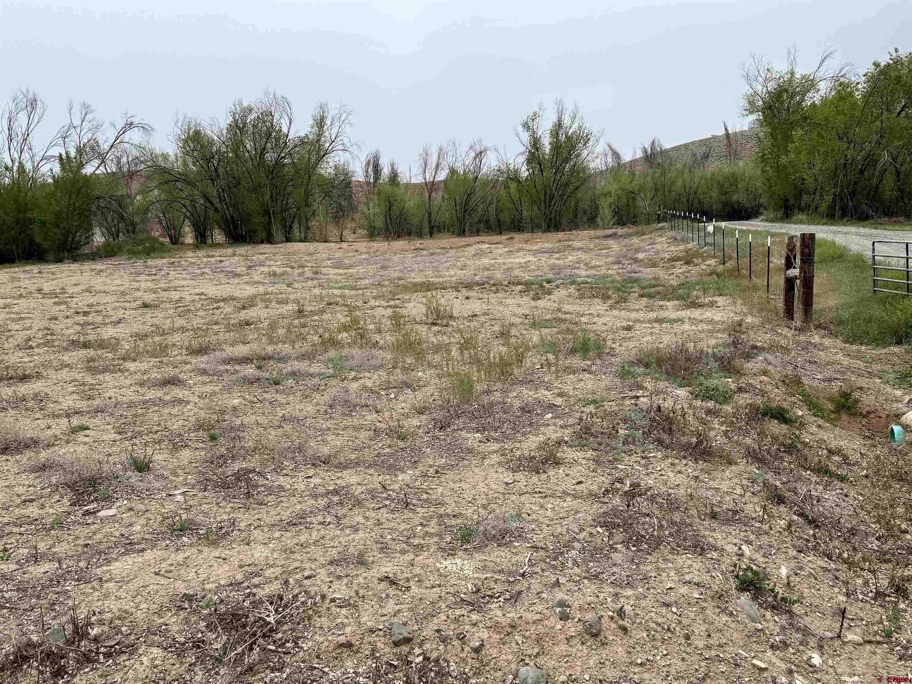 10322 2150th Road Austin, CO 81410 - Photo 6 of 19