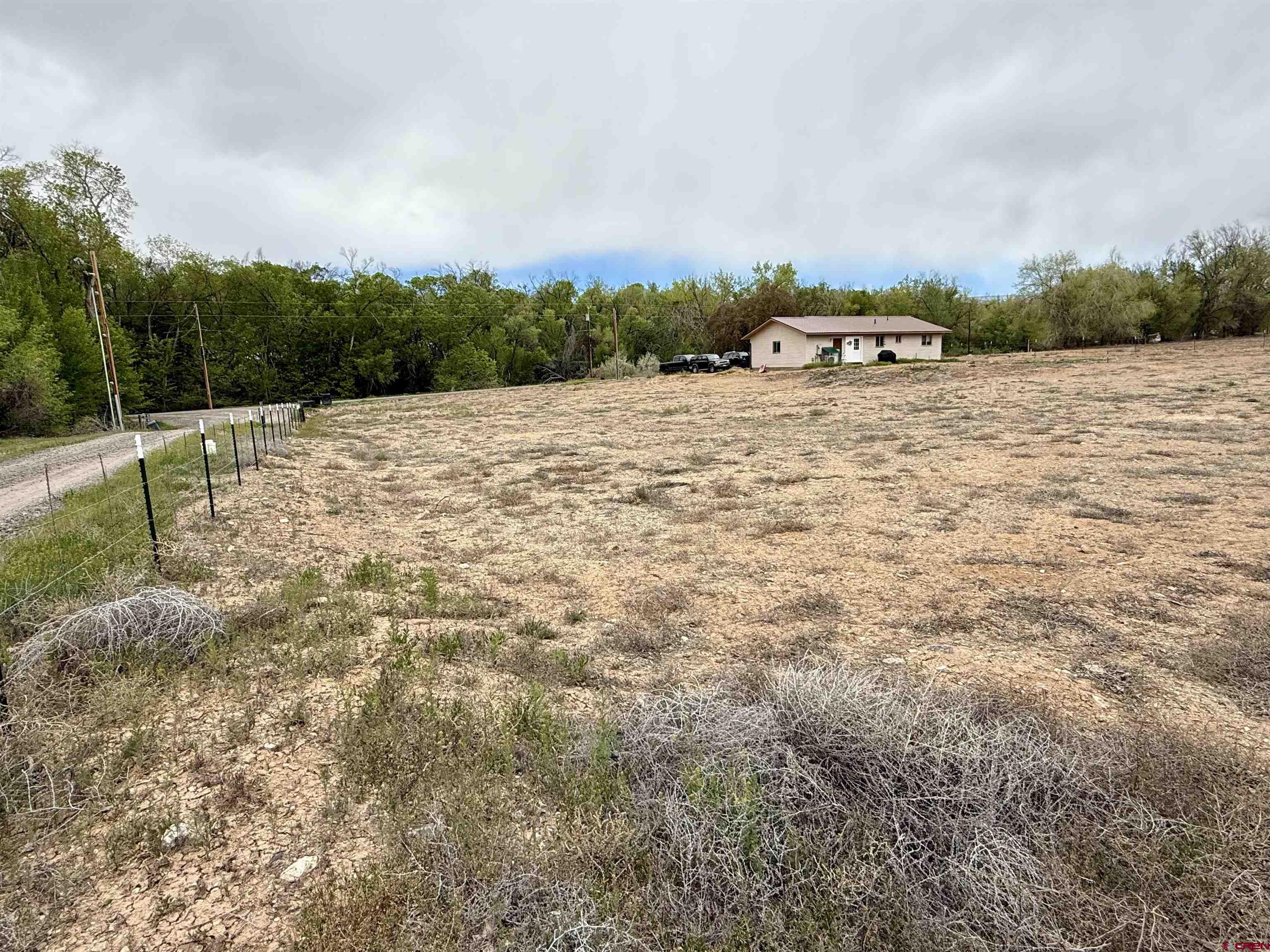 10322 2150th Road Austin, CO 81410 - Photo 9 of 19