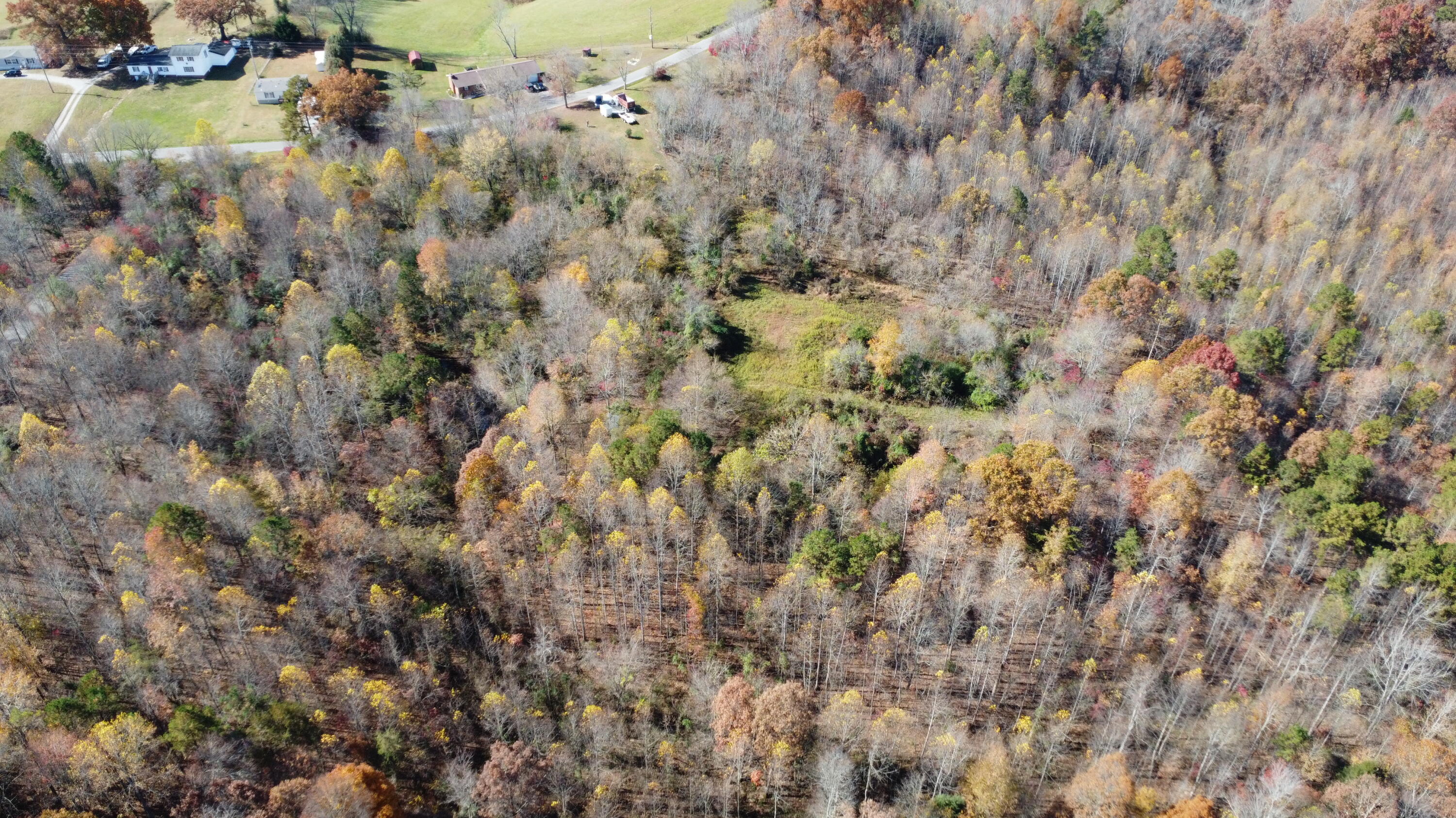 0 Rooks Branch Keavy, KY 40737 - Photo 6 of 28 DJI_0200
