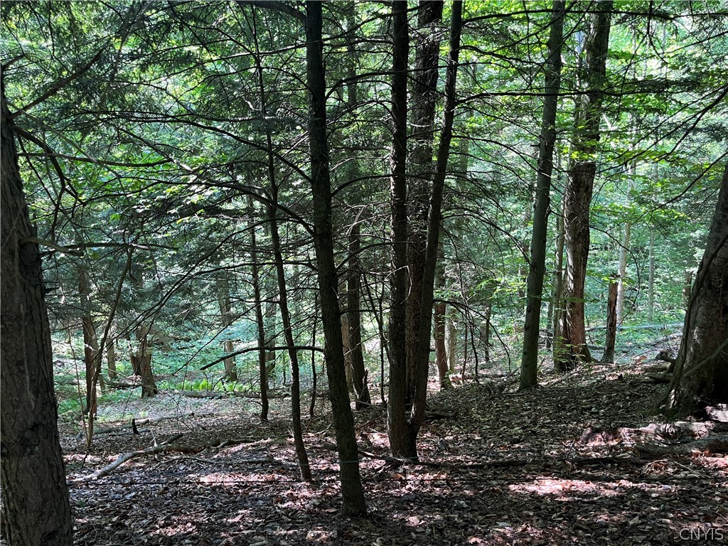 Center Road Lacona, NY 13083 - Photo 19 of 38