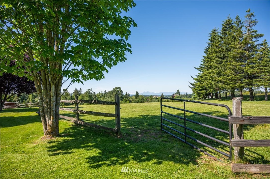 320 East Axton Road Bellingham, WA 98226 - Photo 30 of 40 a view of park with large trees