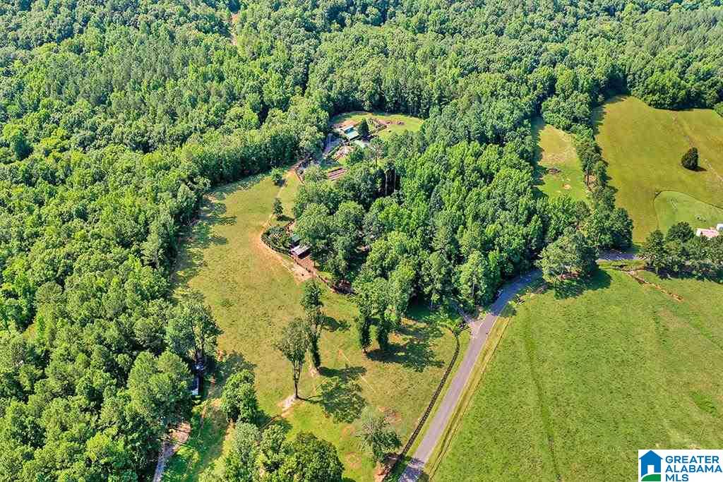 1675 Canoe Creek Road Springville, AL 35146 - Photo 42 of 50
