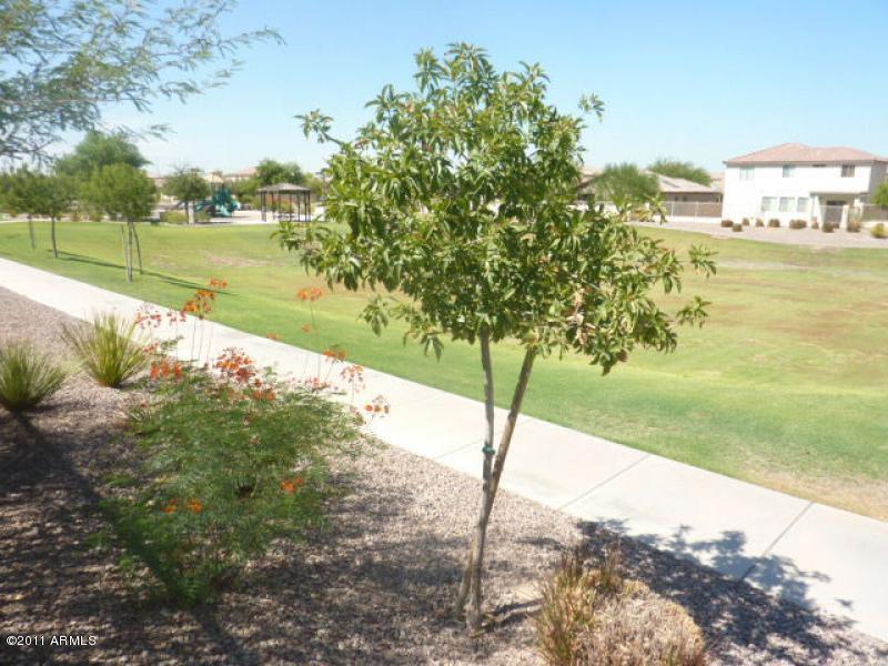 2402 West Apollo Road Phoenix, AZ 85041 - Photo 17 of 23 Greenbelt