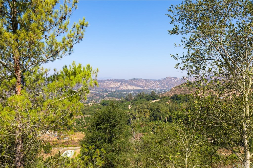 1022 Rainbow Crest Road Fallbrook, CA 92028 - Photo 41 of 45