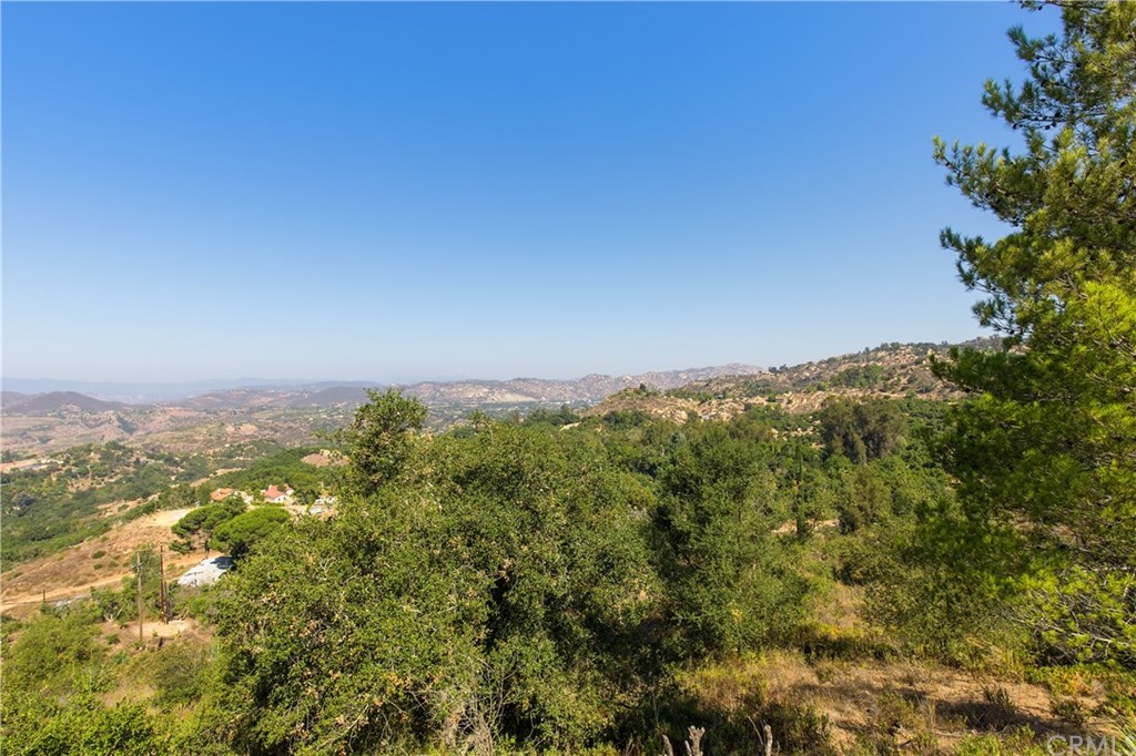 1022 Rainbow Crest Road Fallbrook, CA 92028 - Photo 42 of 45