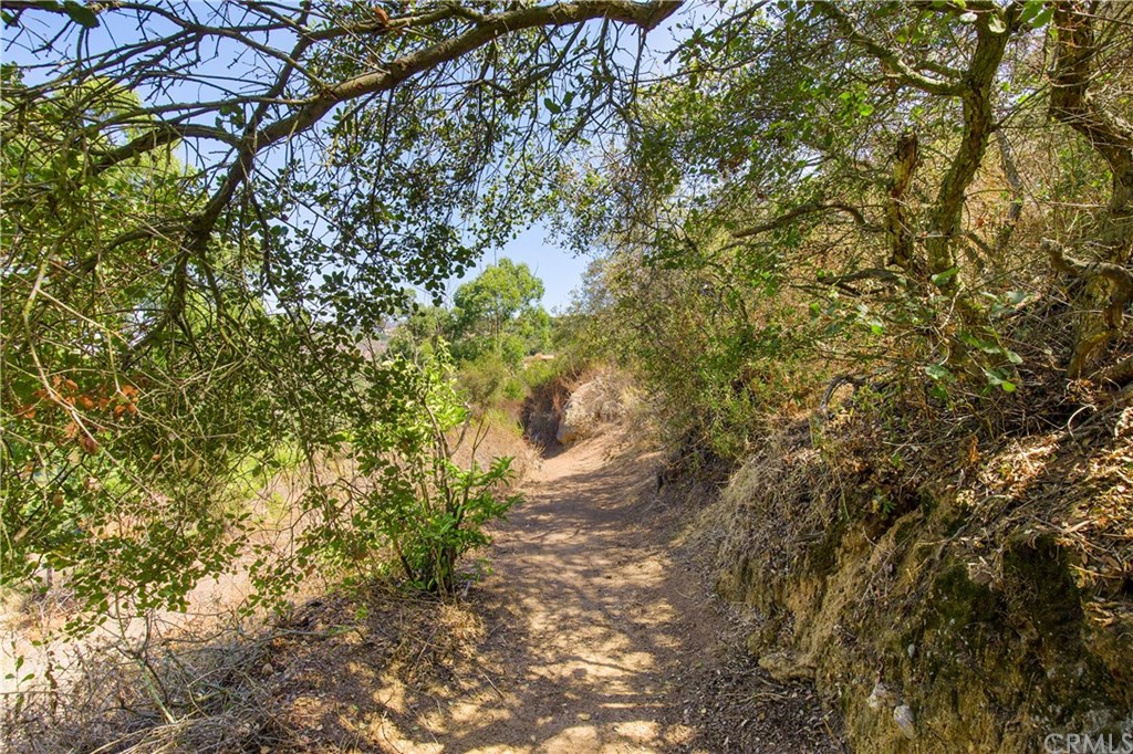 1022 Rainbow Crest Road Fallbrook, CA 92028 - Photo 44 of 45