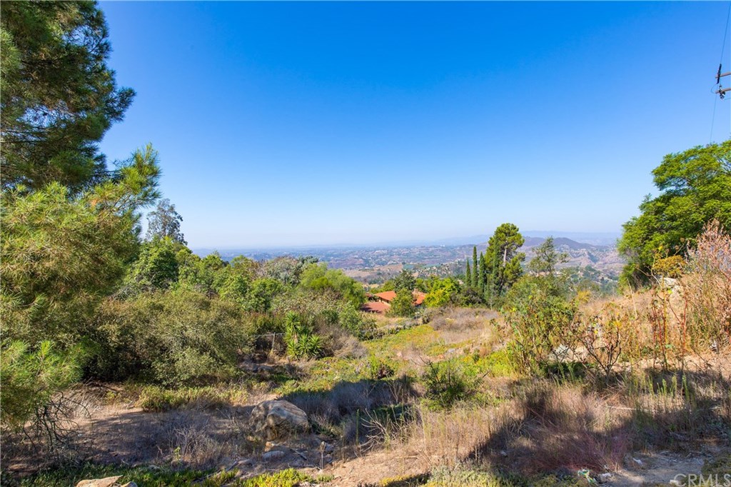 1022 Rainbow Crest Road Fallbrook, CA 92028 - Photo 9 of 45