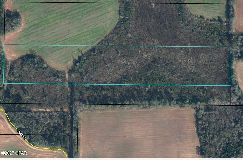 0 Gainer Cemetery Road Graceville, FL 32440 - Photo 6 of 6 Gallery Image 6