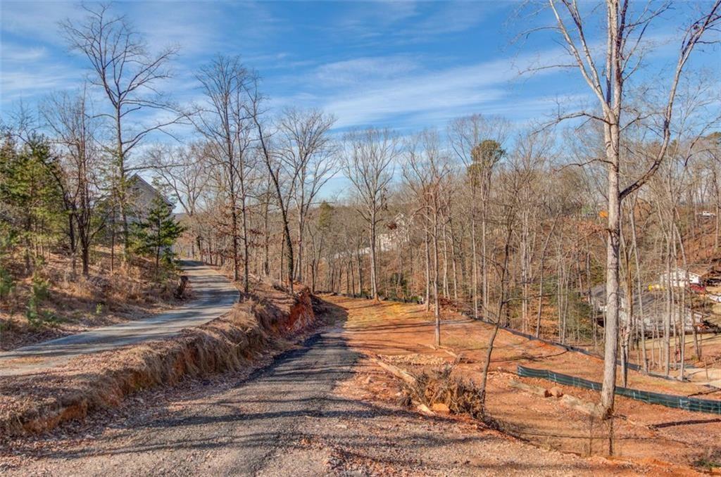 2275 Boy Scout Camp Road Gainesville, GA 30501 - Photo 7 of 20 a view of a yard with trees