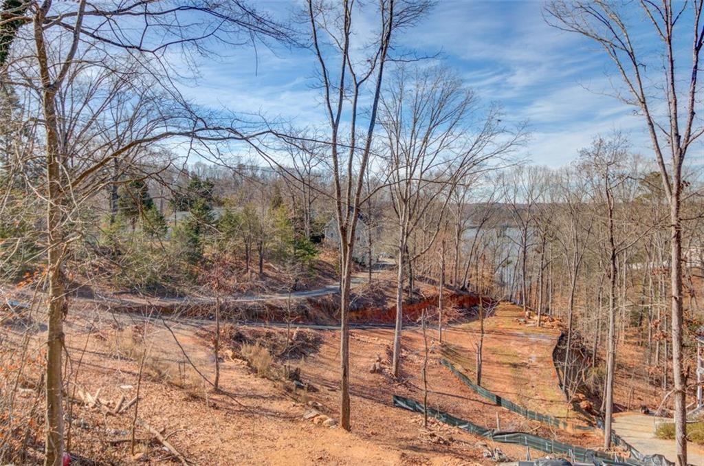 2275 Boy Scout Camp Road Gainesville, GA 30501 - Photo 8 of 20 a backyard of a house with lots of green space