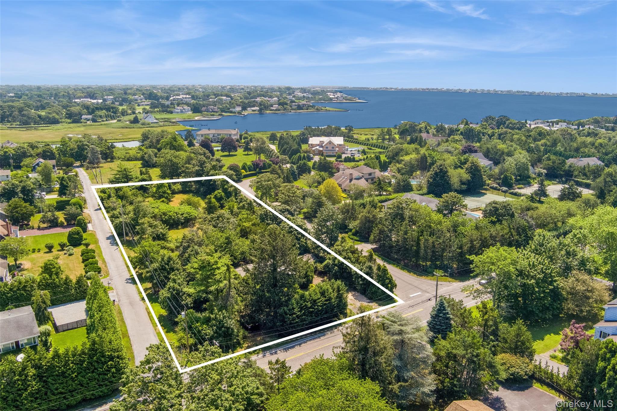an aerial view of a residential houses covered in trees