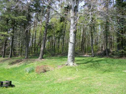 115 Boarts Road Kittanning, PA 16201 - Photo 7 of 7 Yard/Garden.