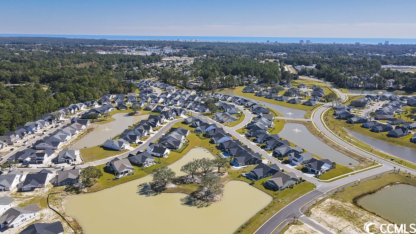 765 Ricegrass Place Little River, SC 29566 - Photo 33 of 40
