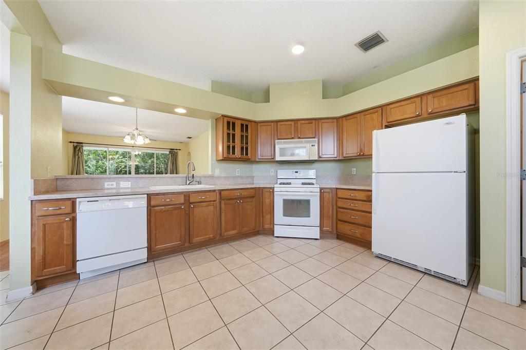 4962 Rainbow Trout Road Tavares, FL 32778 - Photo 8 of 53