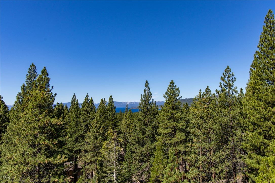 335 Ski Way, Unit 350 Incline Village, NV 89451 - Photo 31 of 38 Gallery Image 31