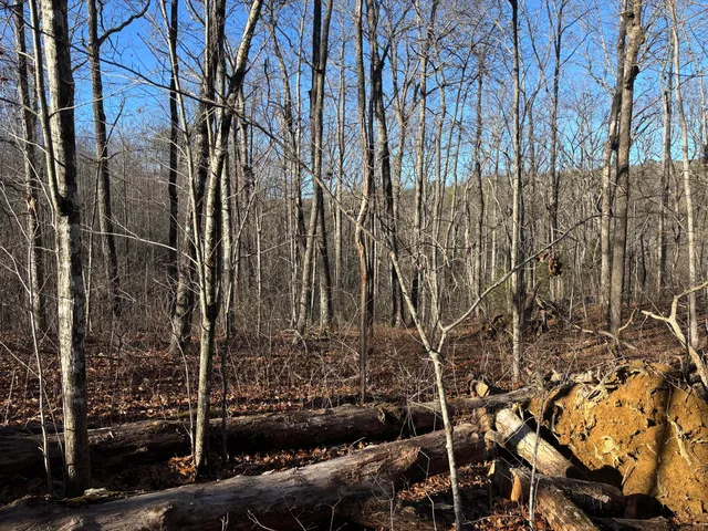 $150,000 | 0 Deerhead Road, Unit 5, Dunlap, TN 37327