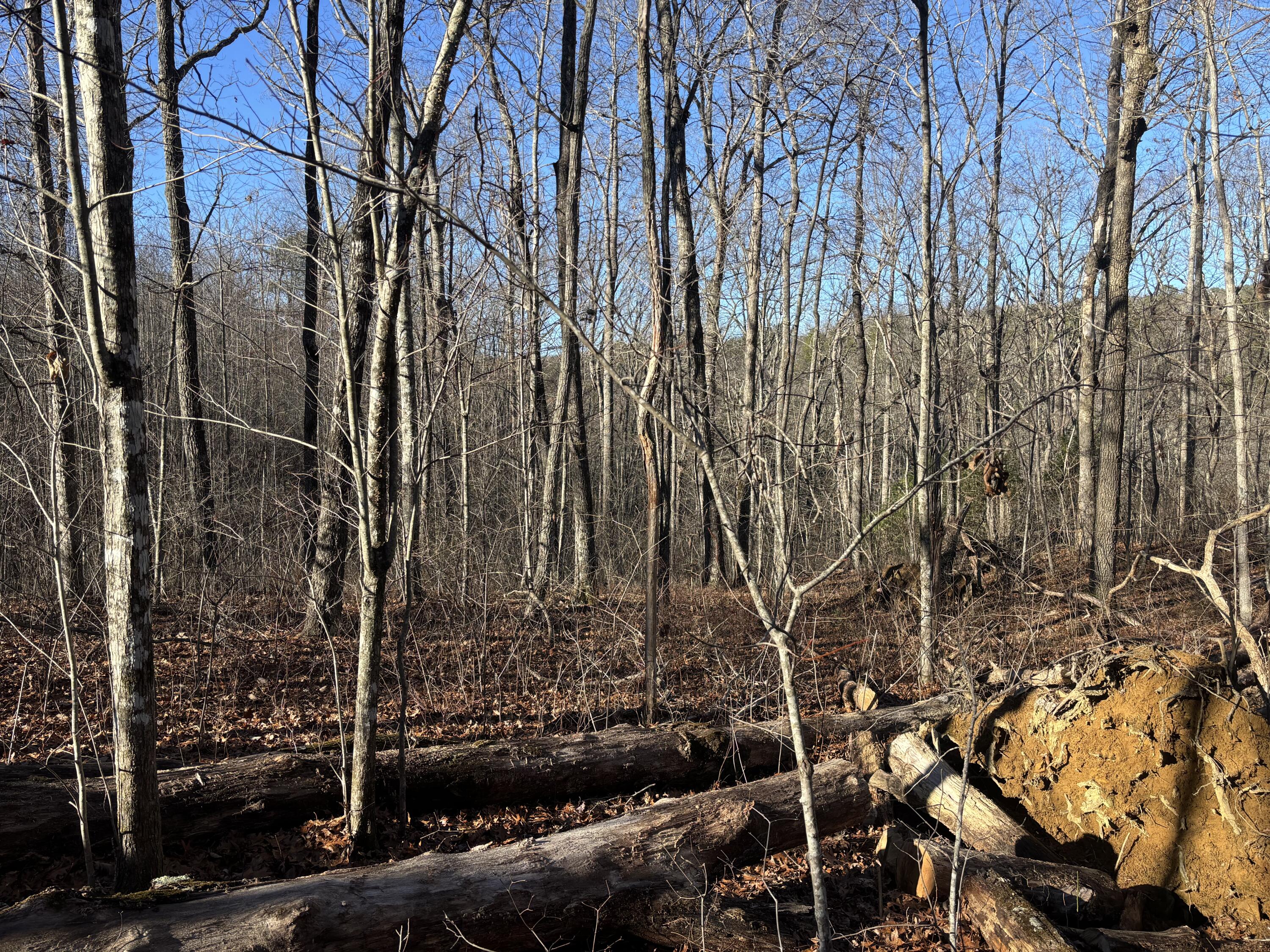 0 Deerhead Road, Unit 5 Dunlap, TN 37327 - Photo 11 of 28 IMG_6271