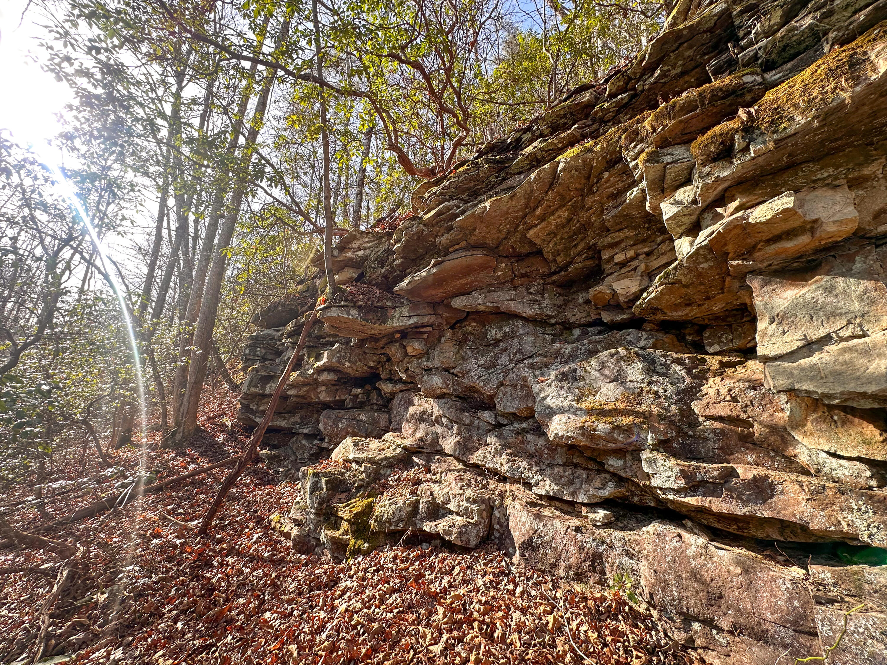 0 Deerhead Road, Unit 5 Dunlap, TN 37327 - Photo 12 of 28 IMG_0656