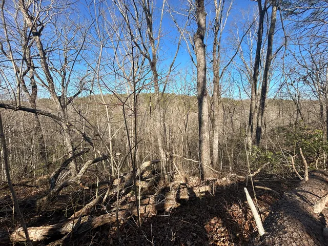 $150,000 | 0 Deerhead Road, Unit 5, Dunlap, TN 37327