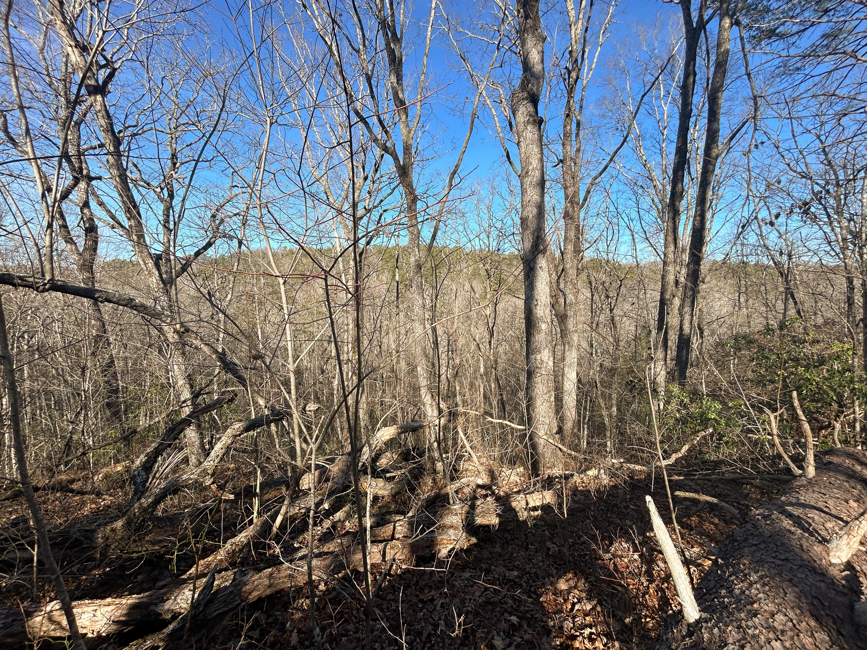 0 Deerhead Road, Unit 5 Dunlap, TN 37327 - Photo 13 of 28 IMG_9641