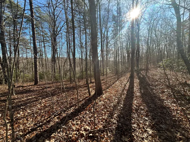 $150,000 | 0 Deerhead Road, Unit 5, Dunlap, TN 37327