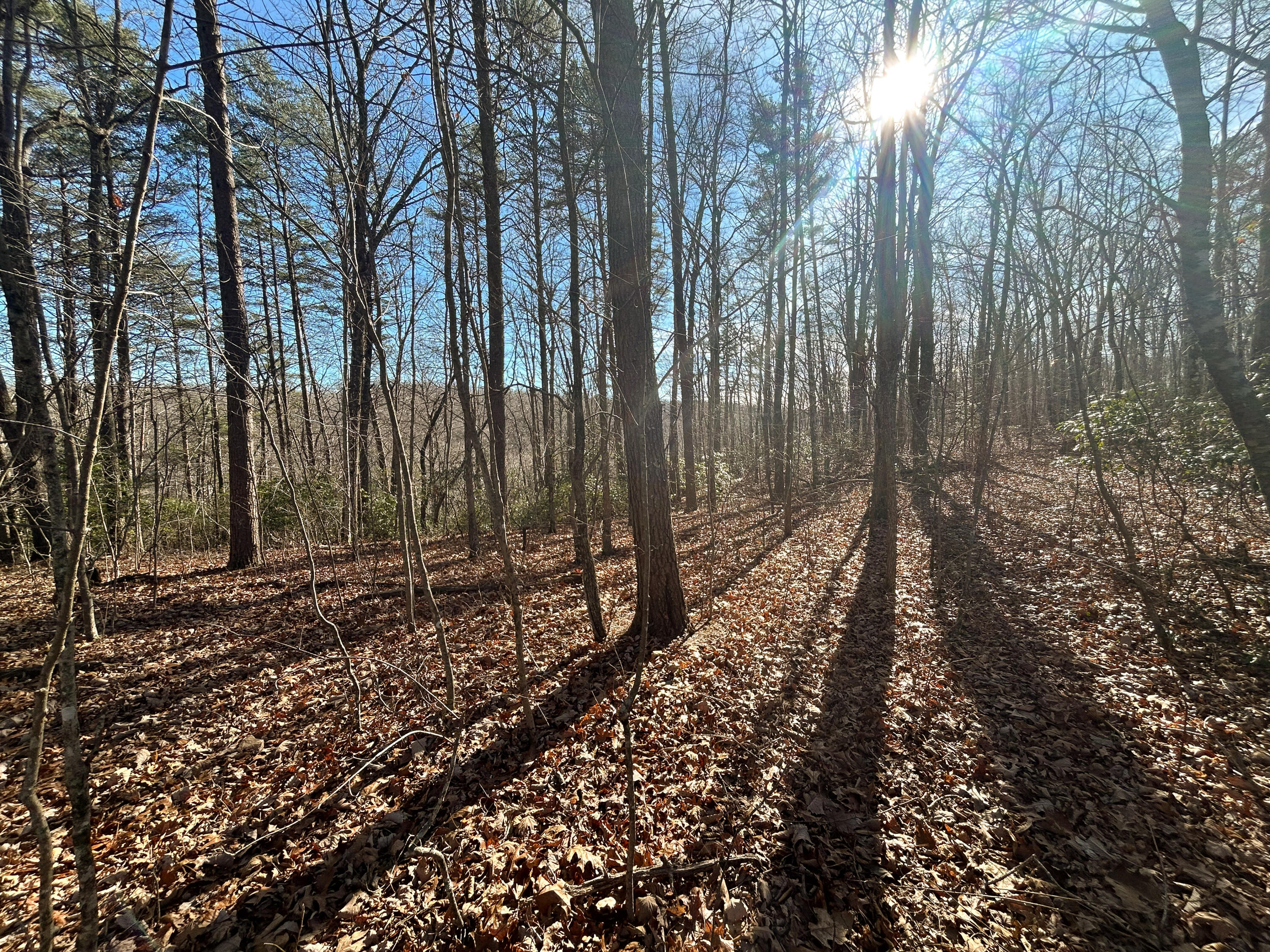 0 Deerhead Road, Unit 5 Dunlap, TN 37327 - Photo 17 of 28 IMG_9653