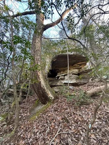 $150,000 | 0 Deerhead Road, Unit 5, Dunlap, TN 37327