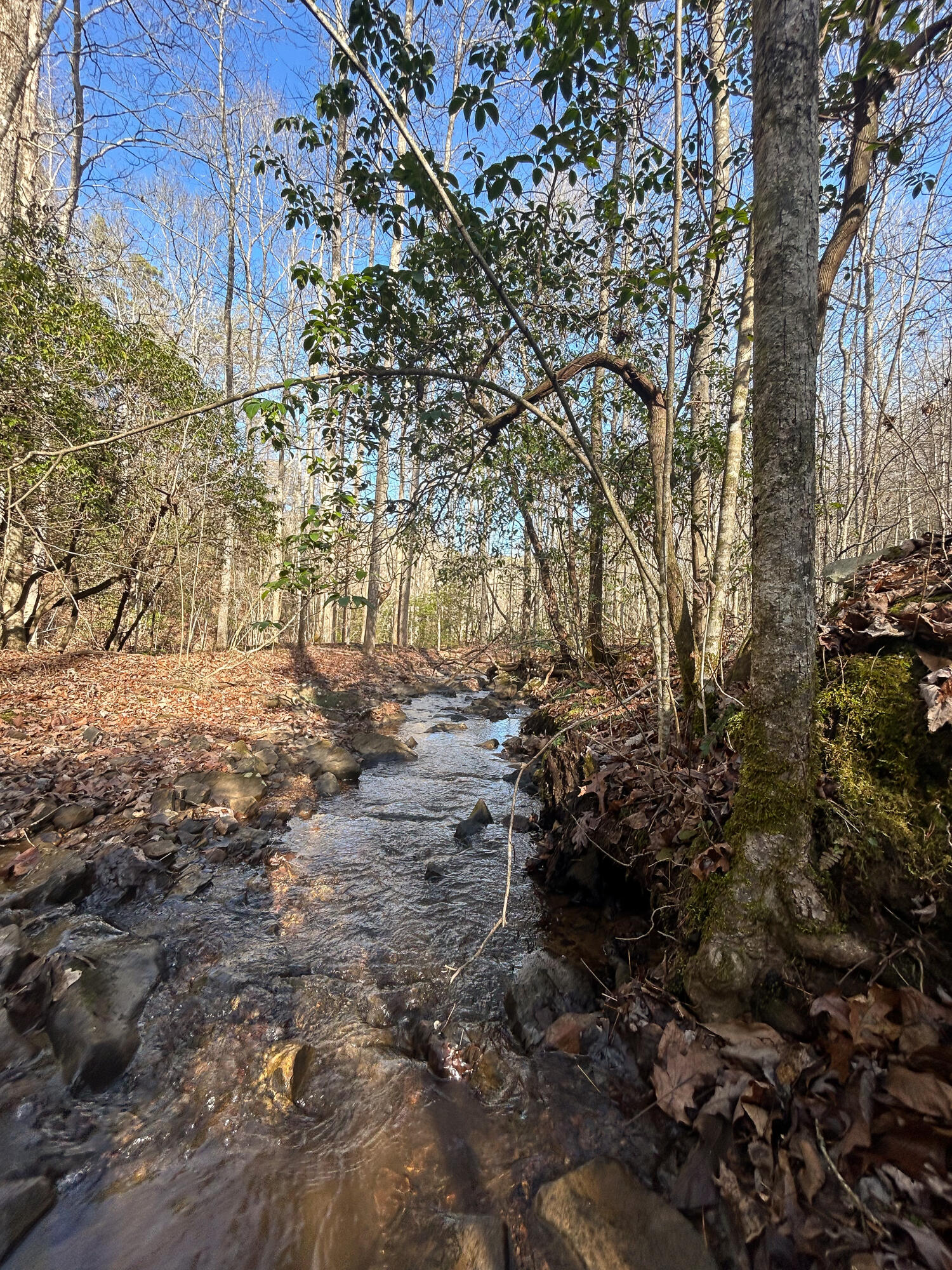 0 Deerhead Road, Unit 5 Dunlap, TN 37327 - Photo 22 of 28 IMG_9671