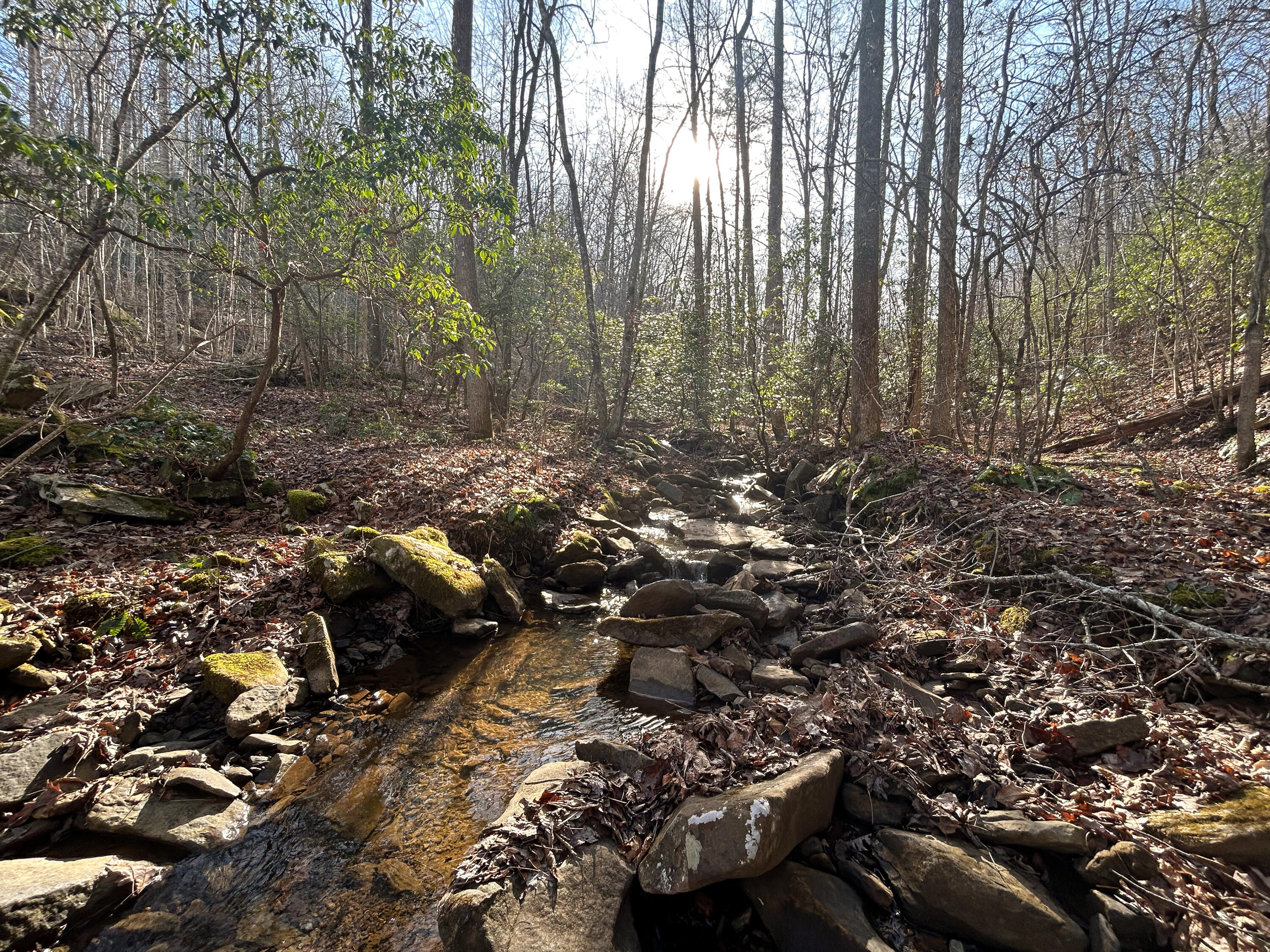 0 Deerhead Road, Unit 5 Dunlap, TN 37327 - Photo 24 of 28 IMG_9678