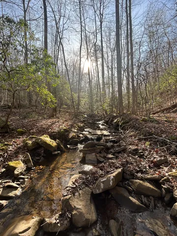 $150,000 | 0 Deerhead Road, Unit 5, Dunlap, TN 37327