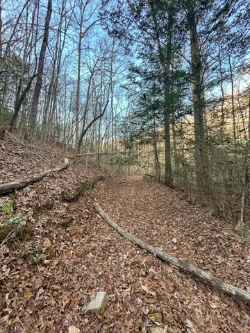 $150,000 | 0 Deerhead Road, Unit 5, Dunlap, TN 37327