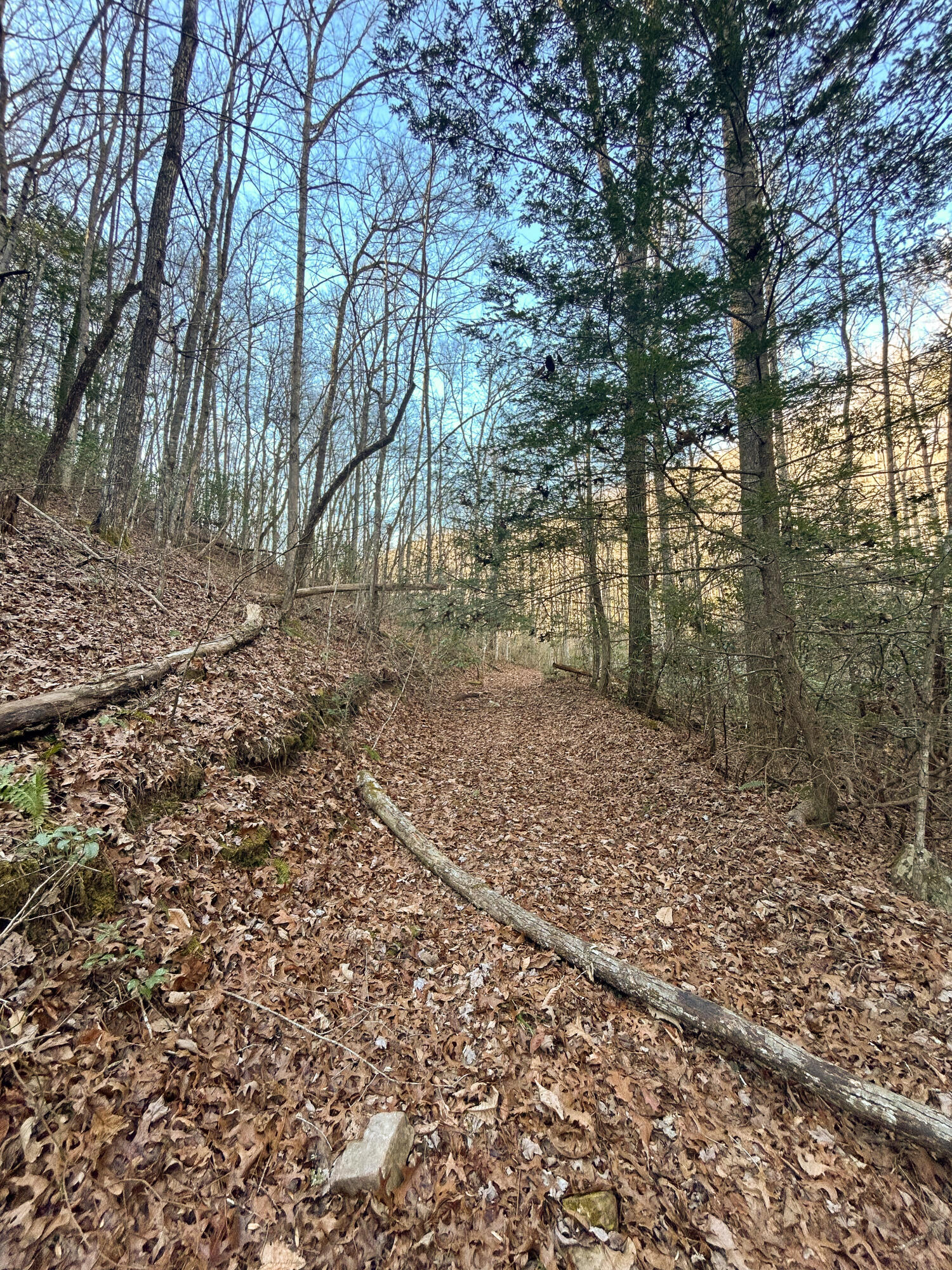 0 Deerhead Road, Unit 5 Dunlap, TN 37327 - Photo 27 of 28 IMG_9684