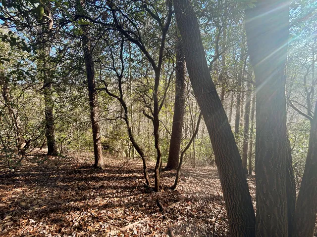 $150,000 | 0 Deerhead Road, Unit 5, Dunlap, TN 37327