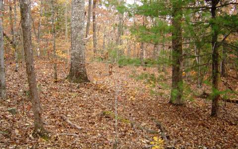Off Pinelog Road Brasstown, NC 28902 - Photo 1 of 1 Main View