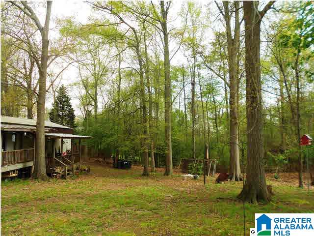 3630 Kelly Creek Road Odenville, AL 35120 - Photo 5 of 7