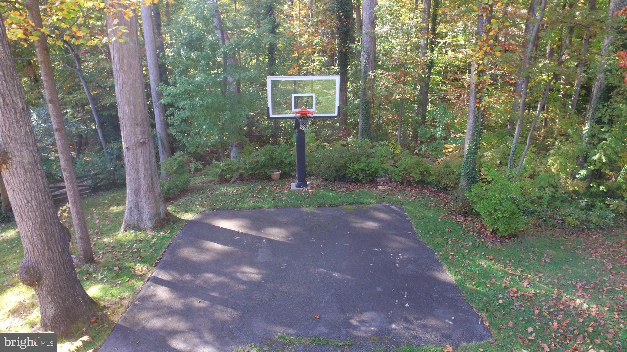 6012 Commack Court Springfield, VA 22152 - Photo 36 of 56 Backyard basketball court