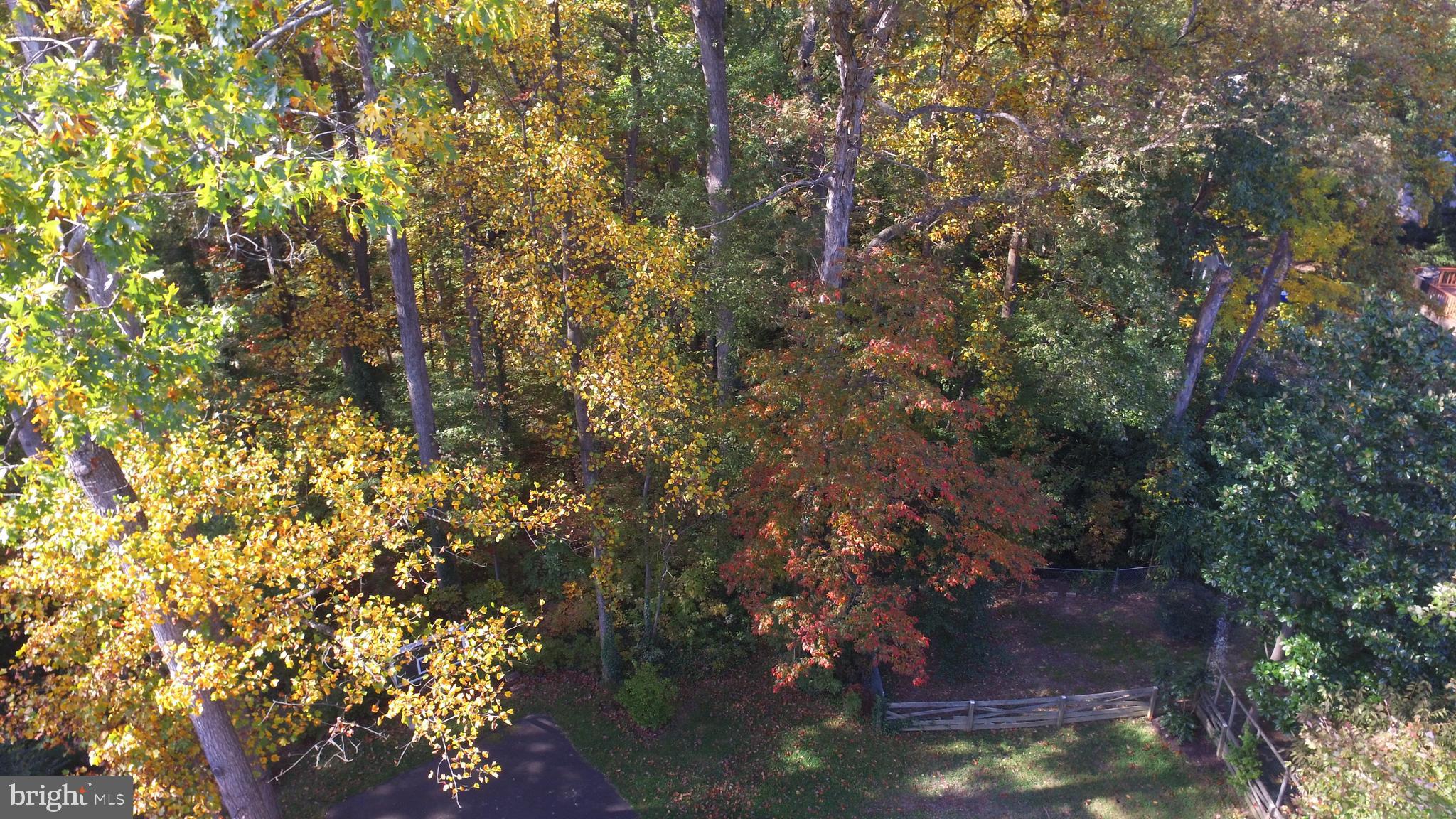 6012 Commack Court Springfield, VA 22152 - Photo 37 of 56 Backs to wooded parkland