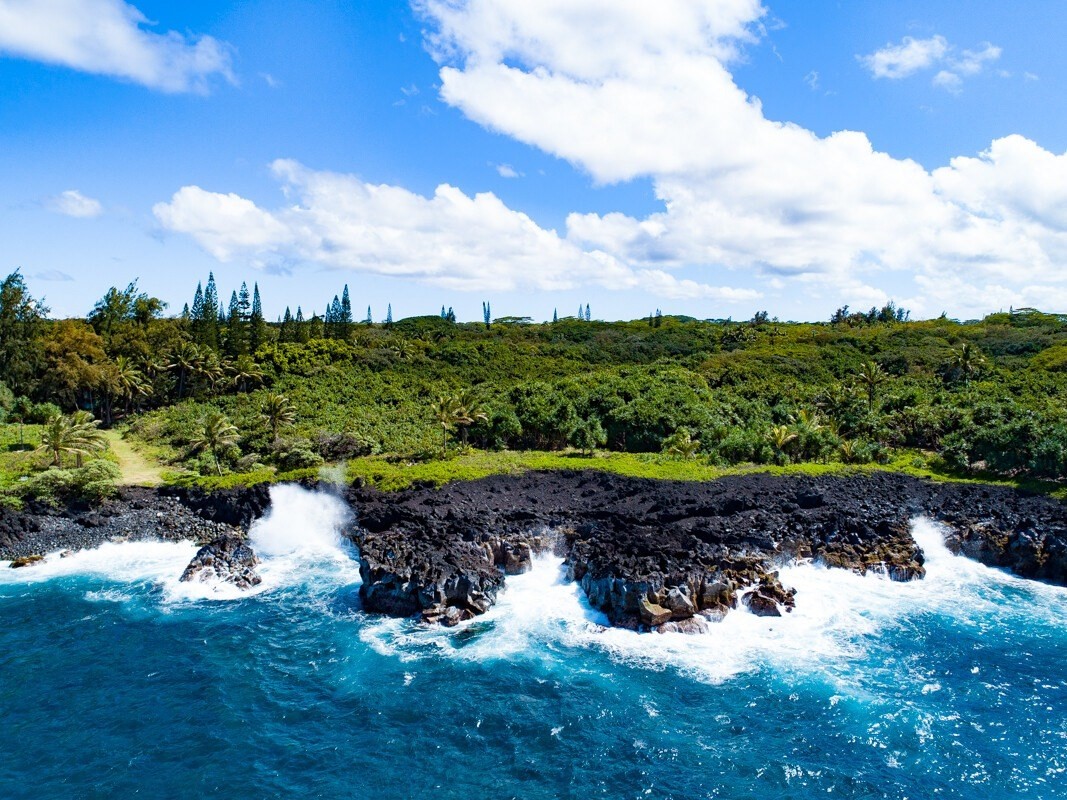 14-3801 Government Beach Road Pahoa, HI 96778 - Photo 2 of 26 Gallery Image 2