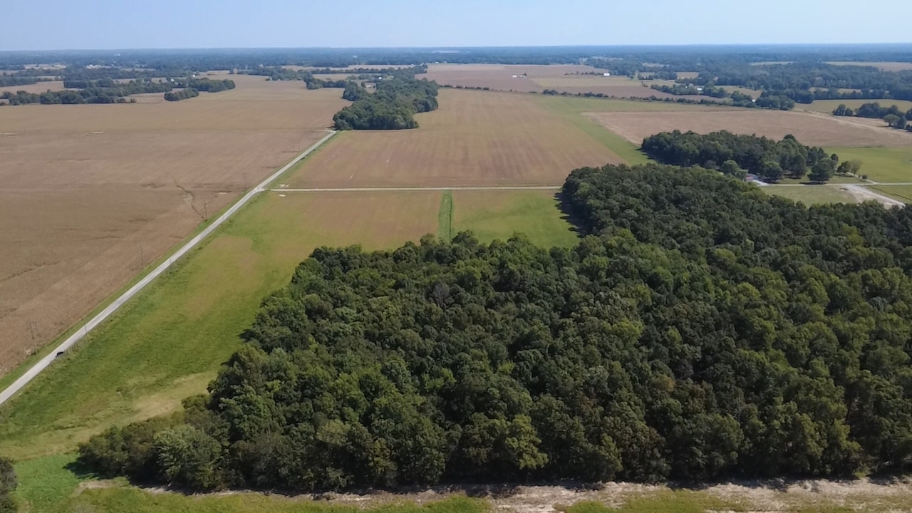 0 East Stagecoach Road Mount Vernon, IL 62864 - Photo 4 of 4 Gallery Image 4