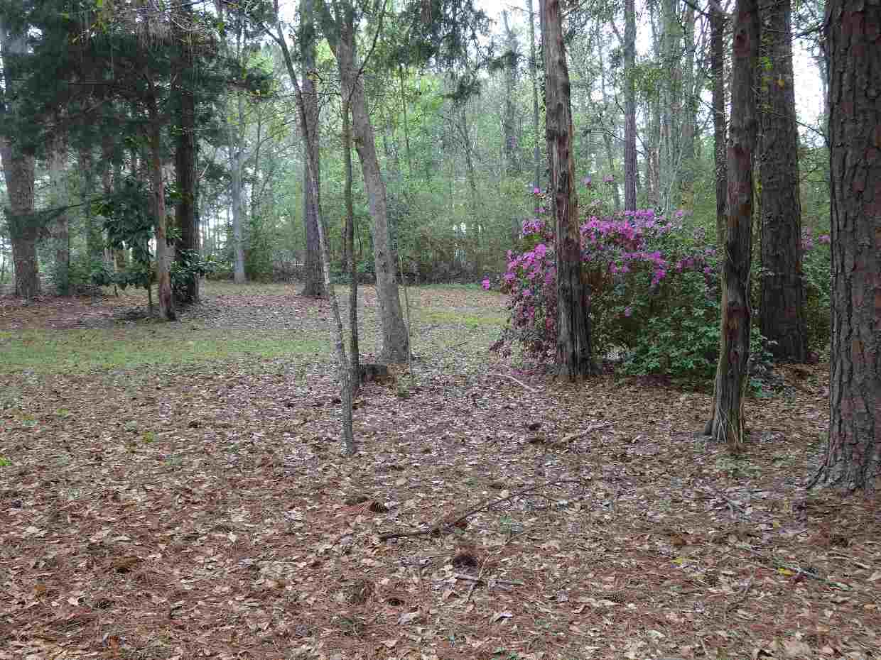 1580 Beech Road Monticello, FL 32344 - Photo 3 of 25 Gallery Image 3