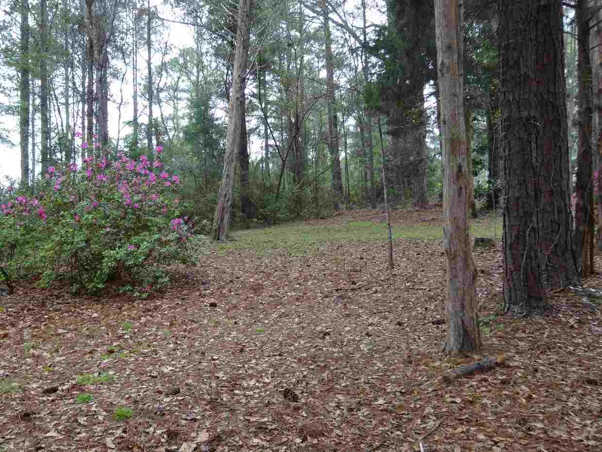 1580 Beech Road Monticello, FL 32344 - Photo 4 of 25 Gallery Image 4