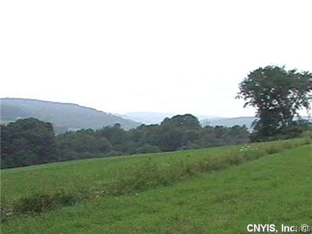 3554 Hubbards Hill Road Taylor, NY 13040 - Photo 1 of 1 Land/Lot Spectactular views from the 8 acre parcel