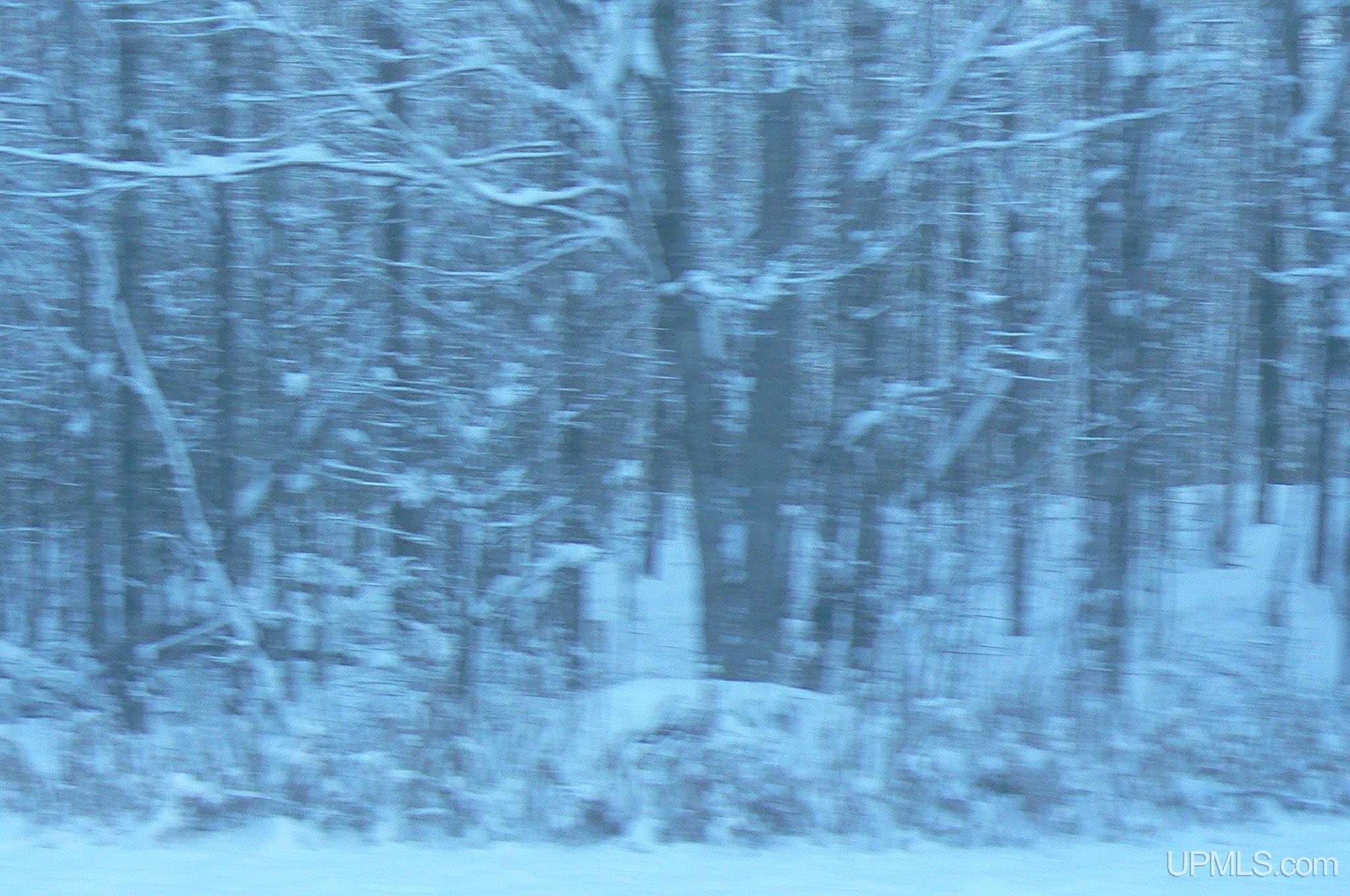 Tbd Sipila Road Eben Junction, MI 49825 - Photo 1 of 1