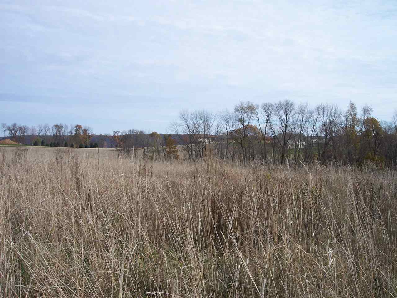 Lot 9 Buck Ridge Court Guttenberg, IA 52052 - Photo 2 of 6 Gallery Image 2