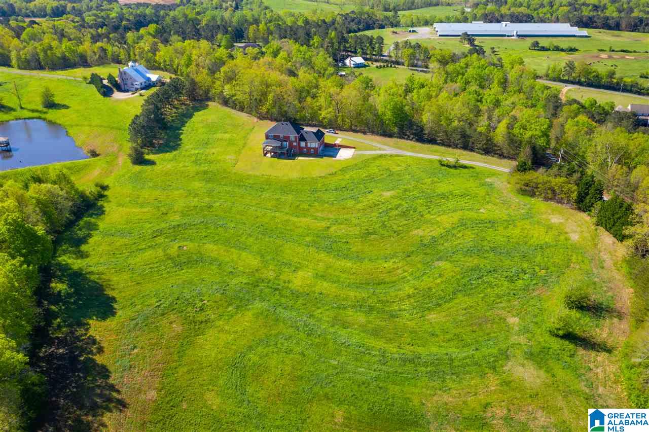 587 Highway 24 Springville Al Springville, AL 35146 - Photo 37 of 37