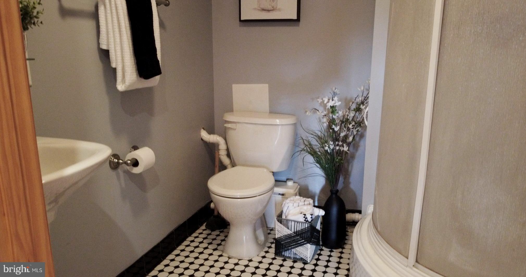 328 Riverside Drive Pasadena, MD 21122 - Photo 50 of 52 Lower level bath roomwith shower