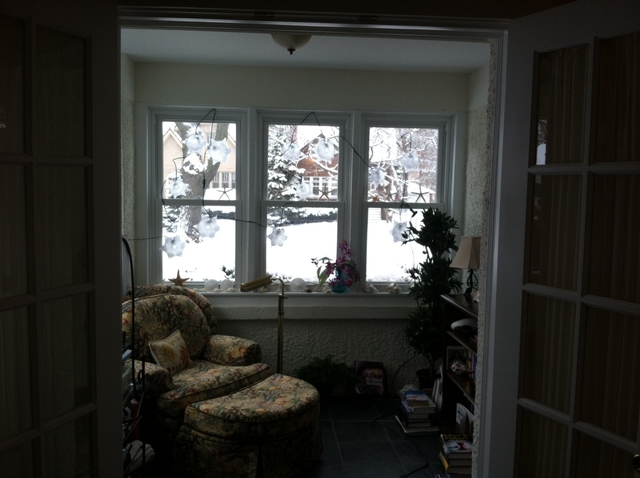 153 Barrypoint Road Riverside, IL 60546 - Photo 15 of 17
